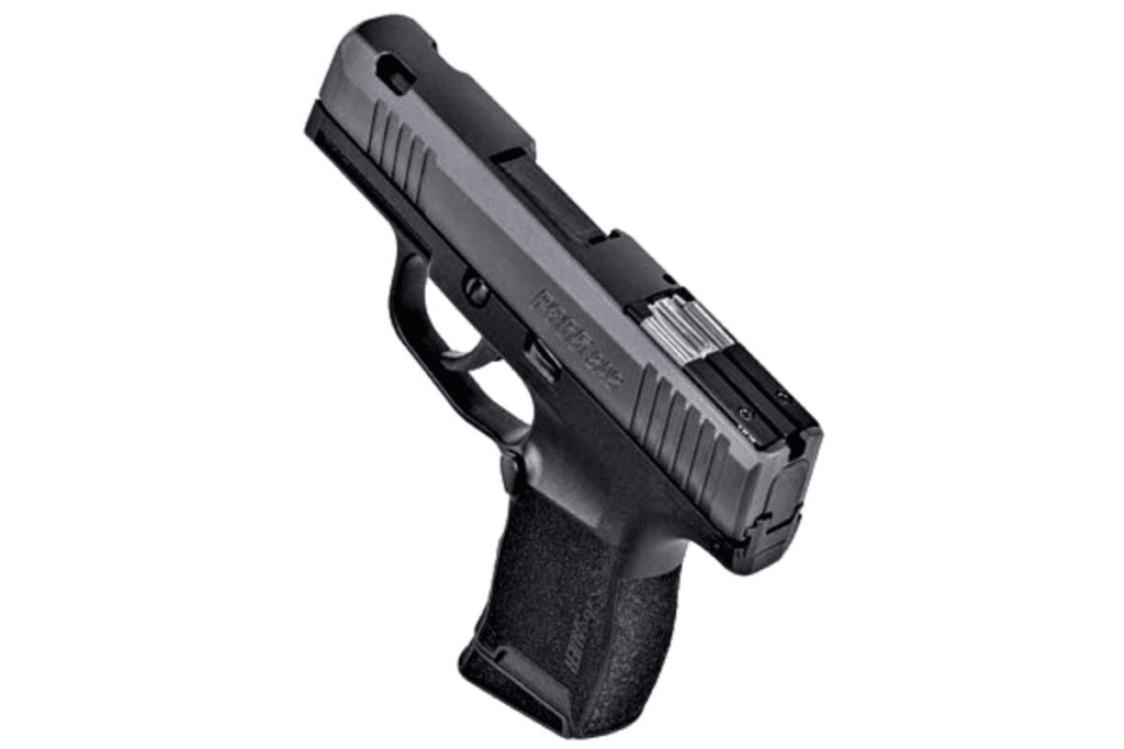 The Best Handgun for Elderly Women 2 image 6