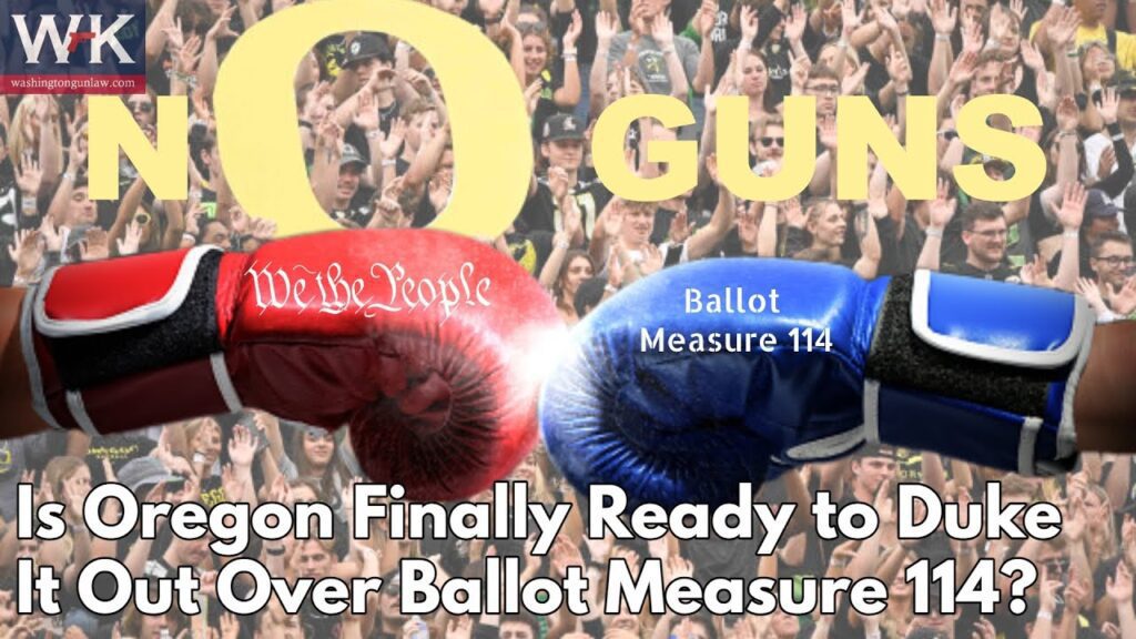 Two boxing gloves, one red reading "We the People" and one blue reading "Ballot Measure 114," face off against a crowd background. Text reads: "Is Oregon Finally Ready to Duke It Out Over Ballot Measure 114?.