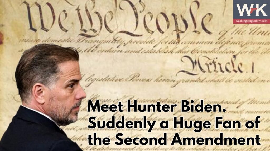A man in profile, identified as Hunter Biden, stands in front of a faded U.S. Constitution backdrop. Text reads: "Meet Hunter Biden. Suddenly a Huge Fan of the Second Amendment." Washington Examiner logo in top right.