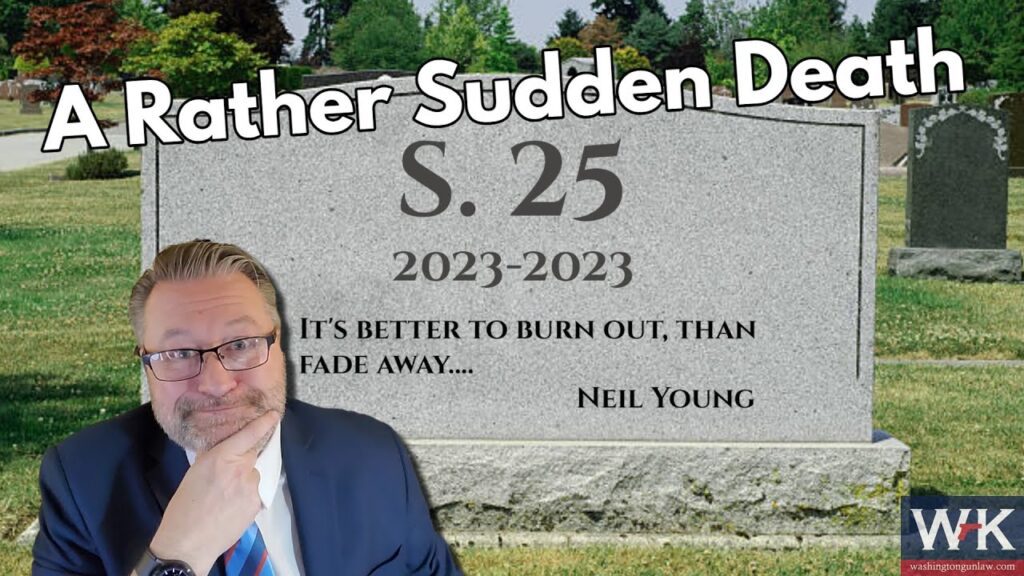 A man in a suit and glasses poses thoughtfully in front of a tombstone that reads "S. 25, 2023-2023, It's better to burn out, than fade away... Neil Young." The text above says, "A Rather Sudden Death.