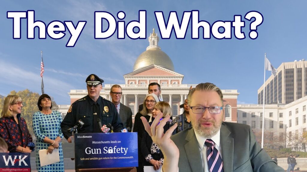 A group of people stands in front of a government building with a golden dome. A man wearing glasses is in the foreground with a surprised expression. Large text above reads, "They Did What?" A podium displays a sign about Massachusetts Gun Safety.