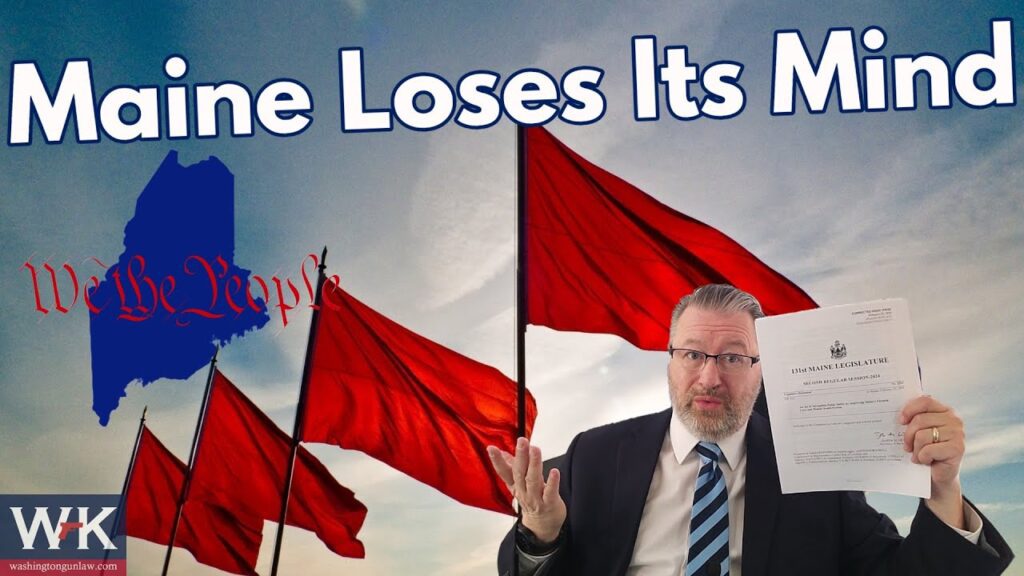 A man in a suit holds up a document in front of several red flags. The text reads "Maine Loses Its Mind" with an outline of the state and "We the People" in script. A logo in the corner reads "WK" with "washingtonknucklehead.com" underneath.