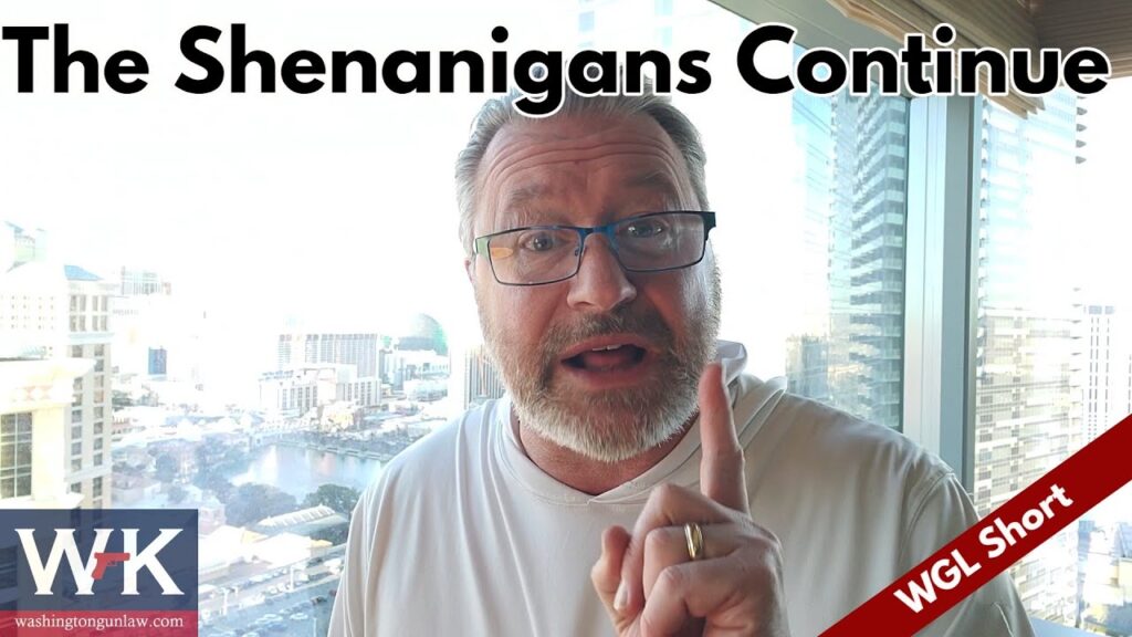 A person wearing glasses gestures with their index finger raised, standing in front of a cityscape. Text on the image reads: "The Shenanigans Continue" and "WGL Short." A logo in the corner says "WK" with a URL.