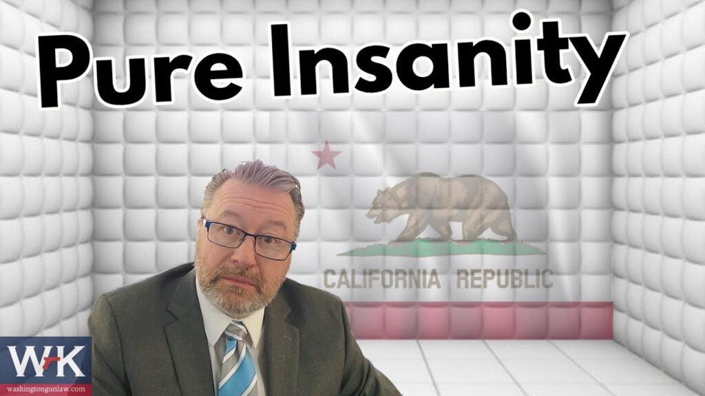 A man with glasses and a suit sits in front of a padded wall featuring the California Republic flag. The text "Pure Insanity" is displayed at the top. A logo with "WK" and "wakkingupinlaw.com" is in the corner.