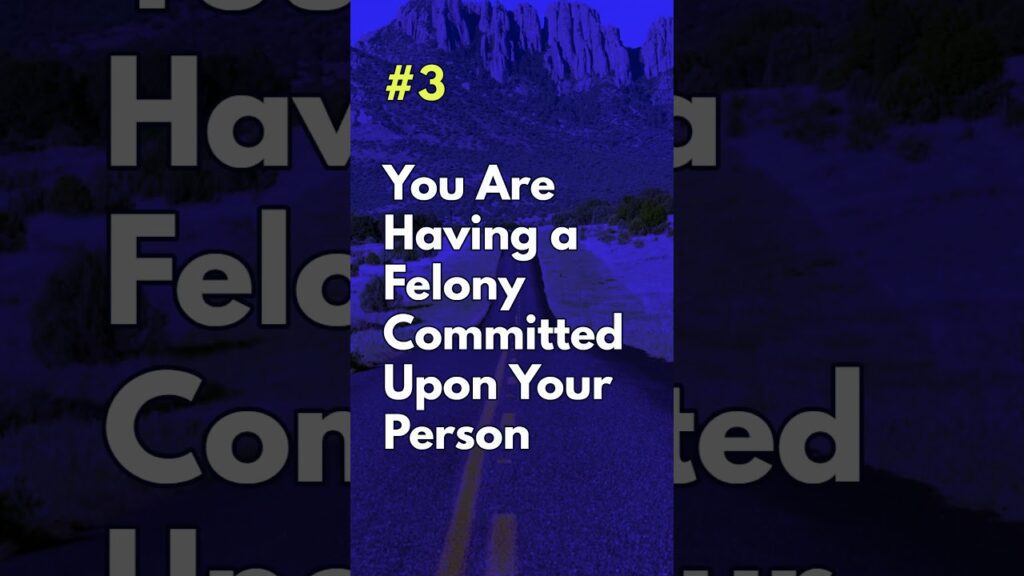 Text reads, "You Are Having a Felony Committed Upon Your Person" against a blue-toned background featuring a desert road and mountains. The number "#3" is at the top left corner.