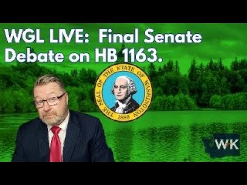 A man in a suit sits in front of a green background featuring the Washington state seal and text reading "WGL LIVE: Final Senate Debate on HB 1163." A WK logo appears in the lower right corner. Trees and water are in the background.