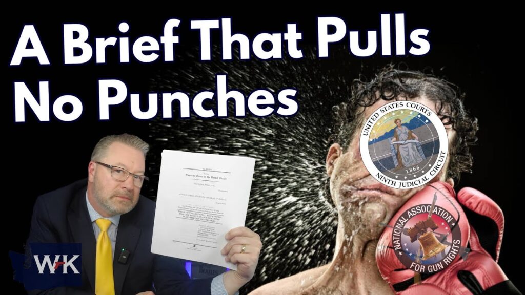 A man in a suit holds up a legal brief. Behind him, a boxer with logos over their face gets punched, sending sweat flying. Large text reads, "A Brief That Pulls No Punches.