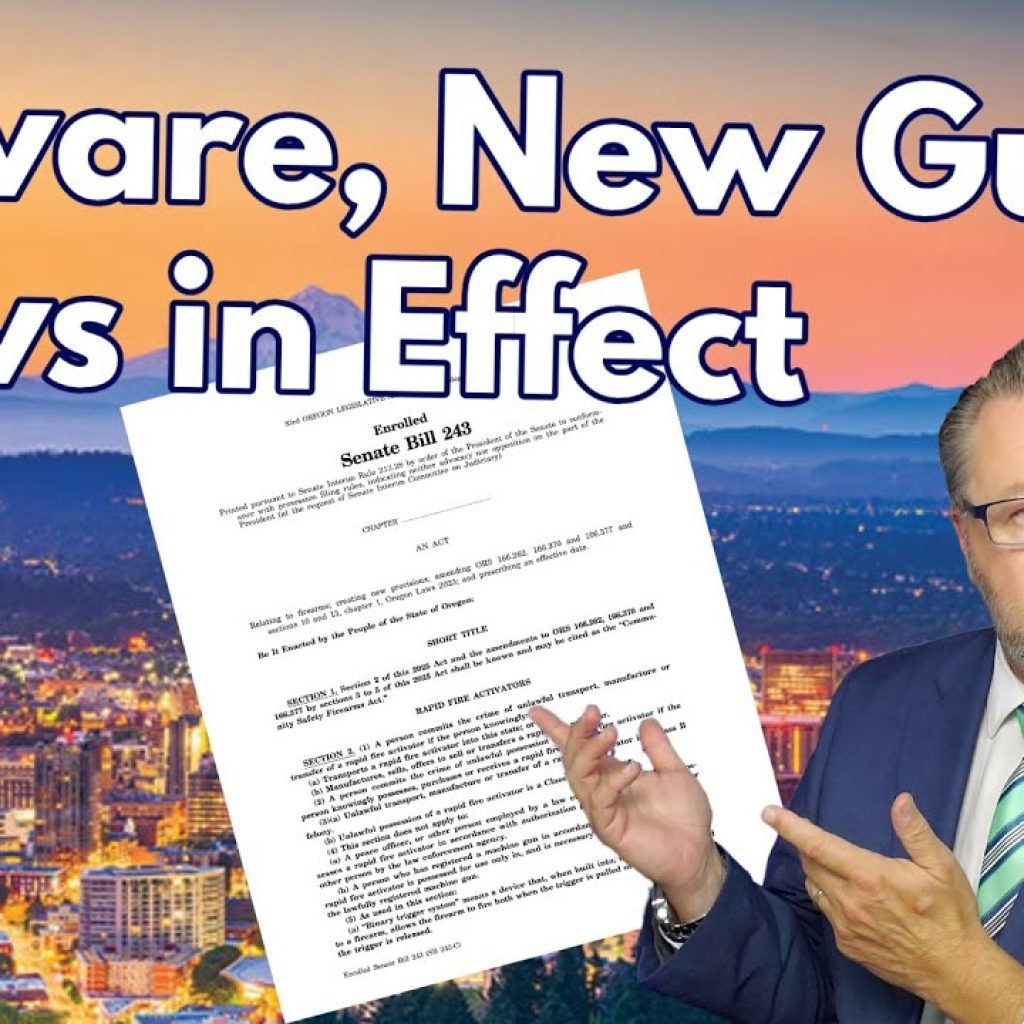 A man in a suit points to a document labeled "Senate Bill 553" with the text "Beware, New Gun Laws in Effect" above him. A cityscape and mountains are in the background.